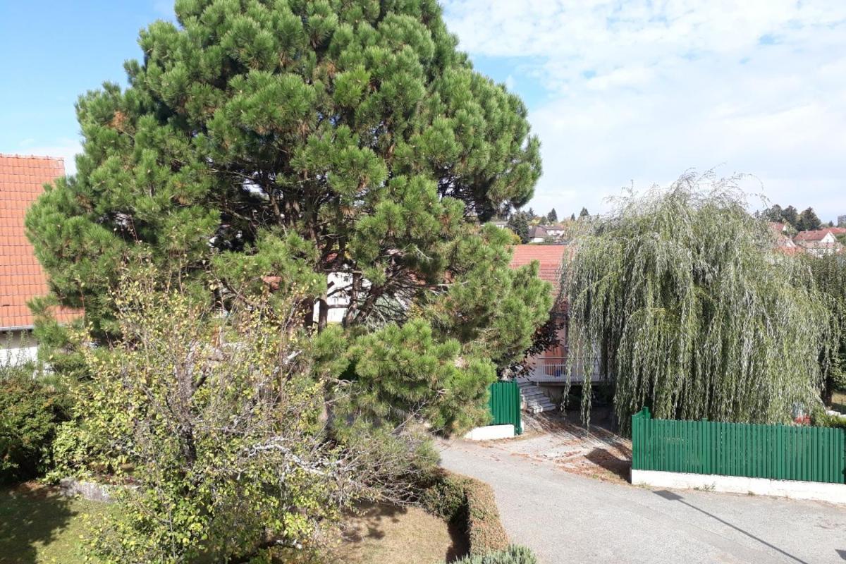 Appartement Independant A Proximite De Belfort Essert エクステリア 写真